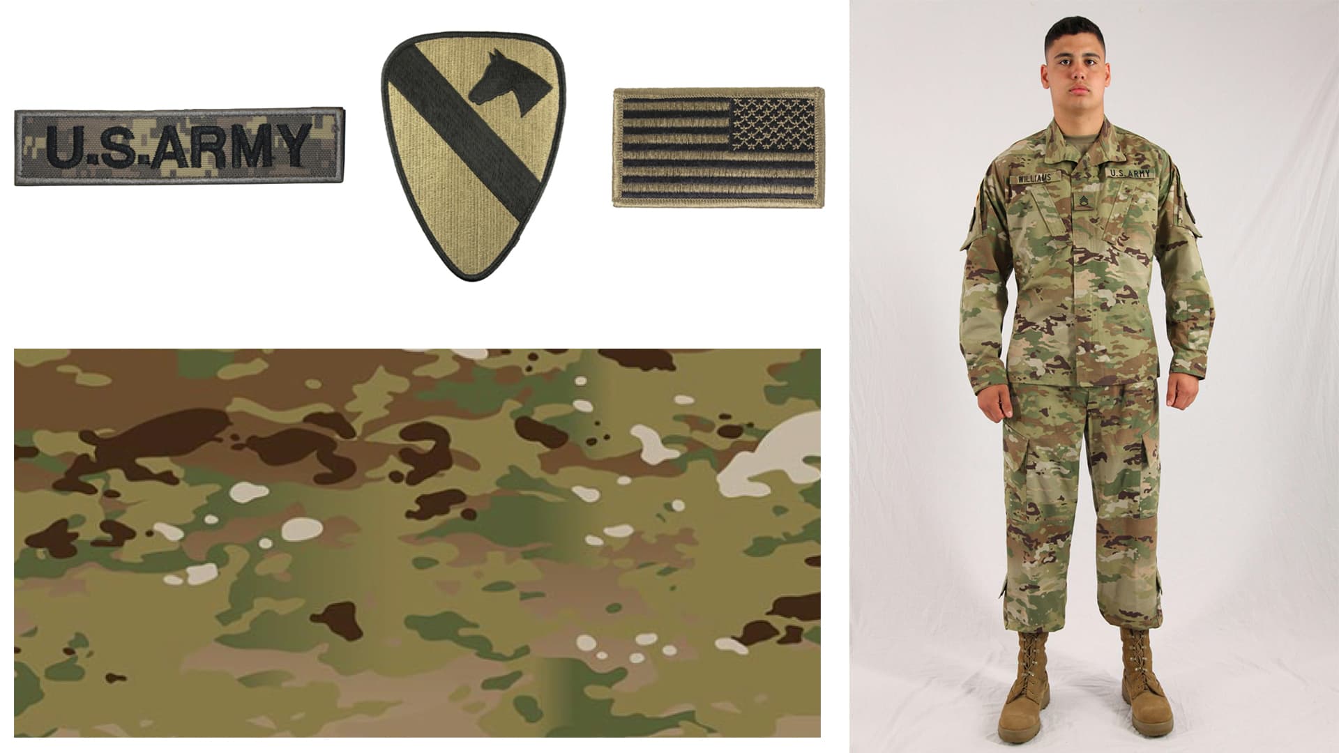 Army insignia, uniform fabric, and full uniform reference materials